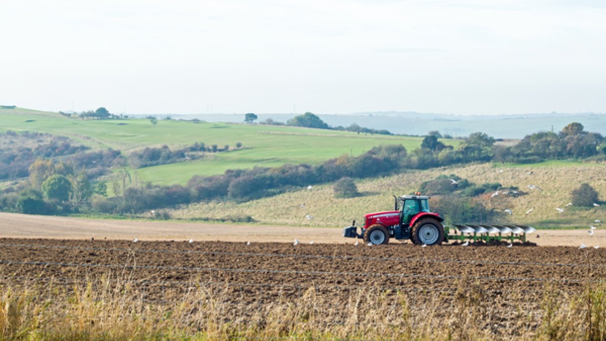 Tractor ploughing a field